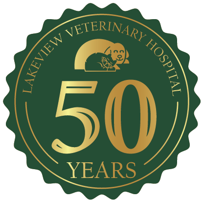 Veterinarian in New Orleans, LA | Lakeview Veterinary Hospital